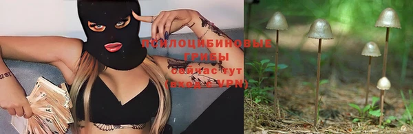 соль курить ск Алзамай